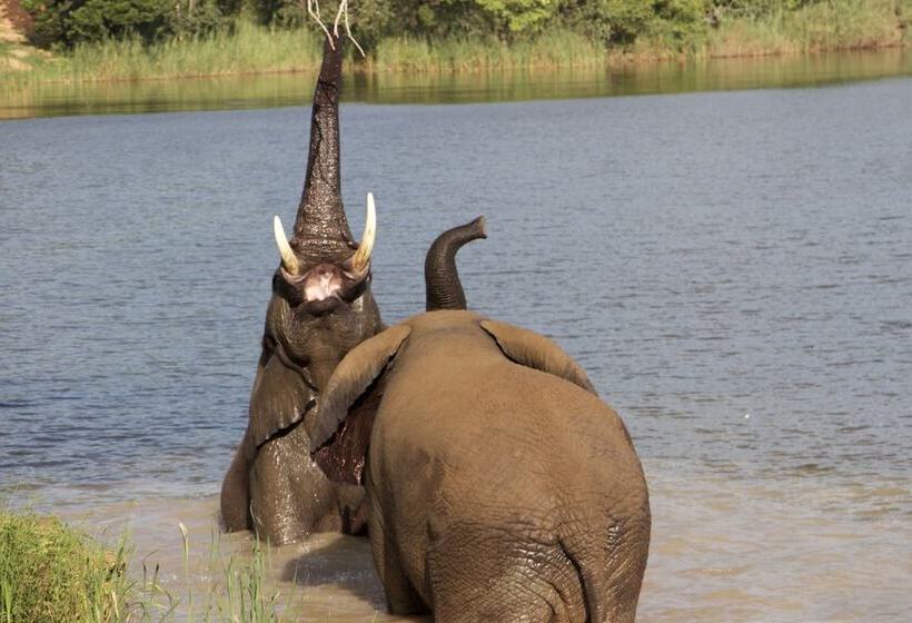 בית מלון כפרי Ukuthula Bush Lodge