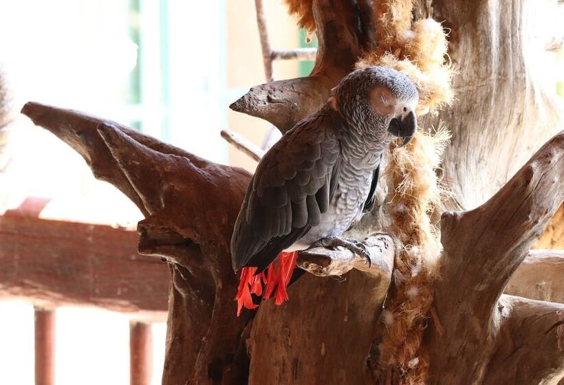 בית מלון כפרי Ukuthula Bush Lodge