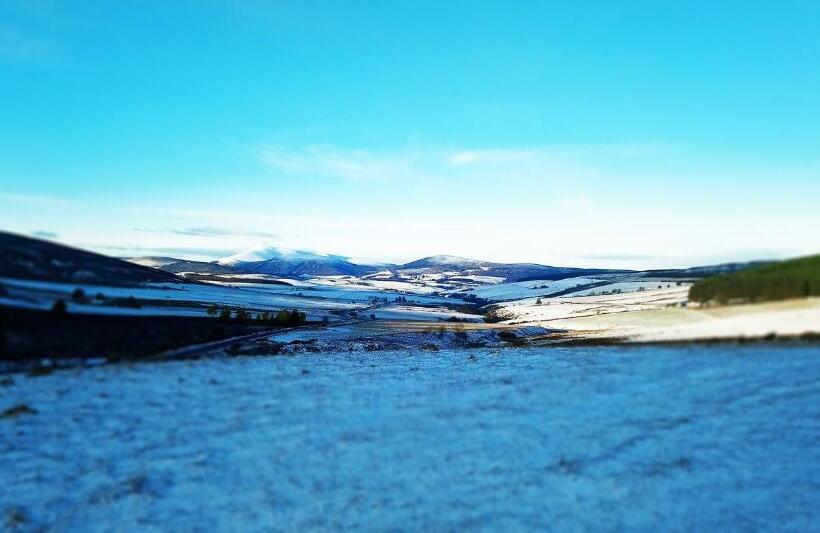 Little Robin Bed And Breakfast