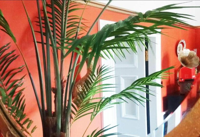 Little Robin Bed And Breakfast