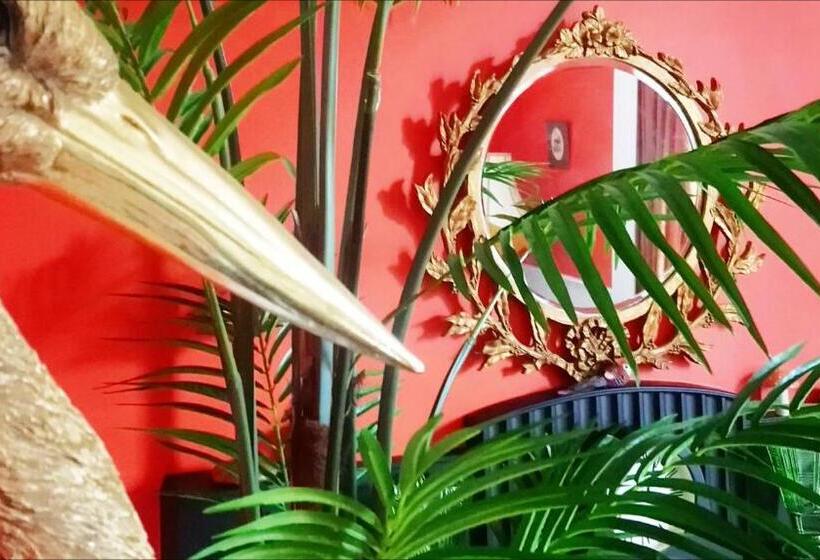 Little Robin Bed And Breakfast