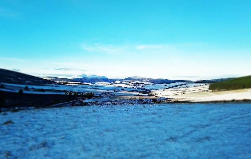 Little Robin Bed And Breakfast