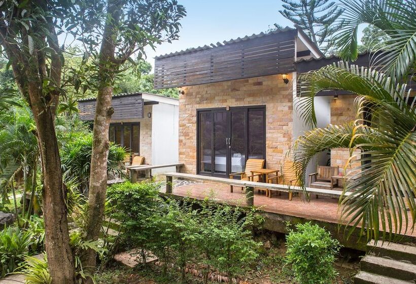 אתר נופש Wave F