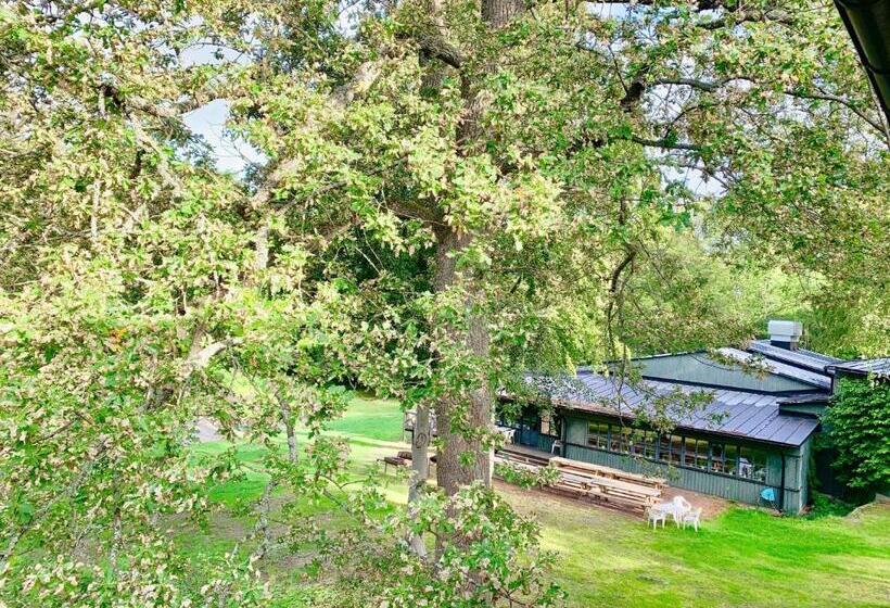 ユースホステル Stf Lillsved