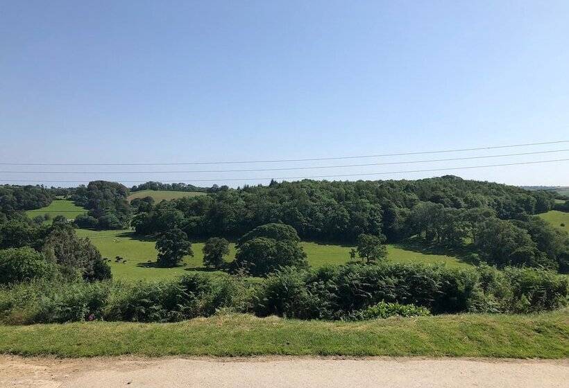 مبيت وإفطار Tregarland Farm