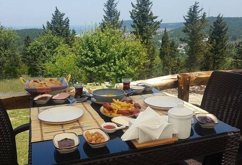 مسافرخانه Ağva Stone House Boutique