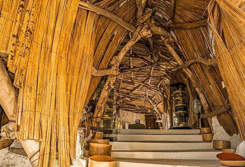 فندق Bethel Bioluxury