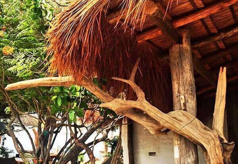 فندق Bethel Bioluxury