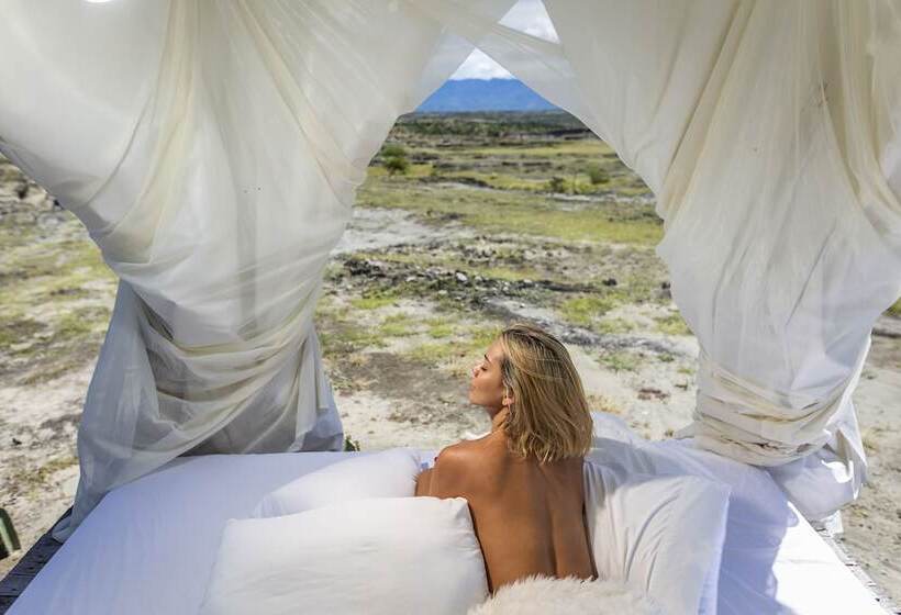 فندق Bethel Bioluxury