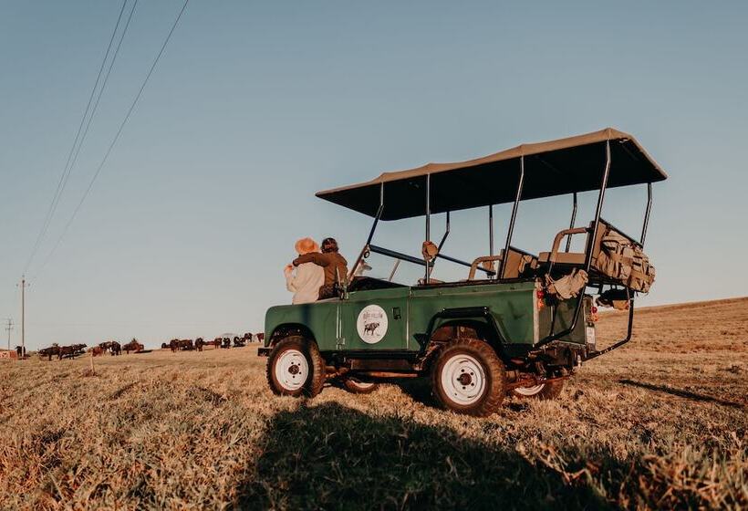 酒店 Buff & Fellow Eco Cabins