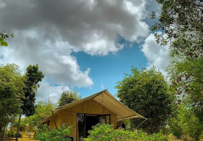 酒店 D Bamboo Kamp