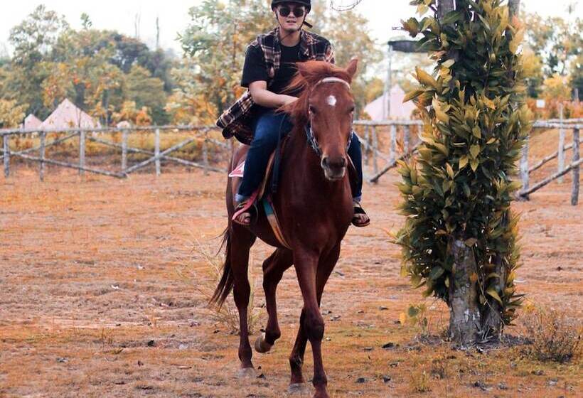 酒店 D Bamboo Kamp