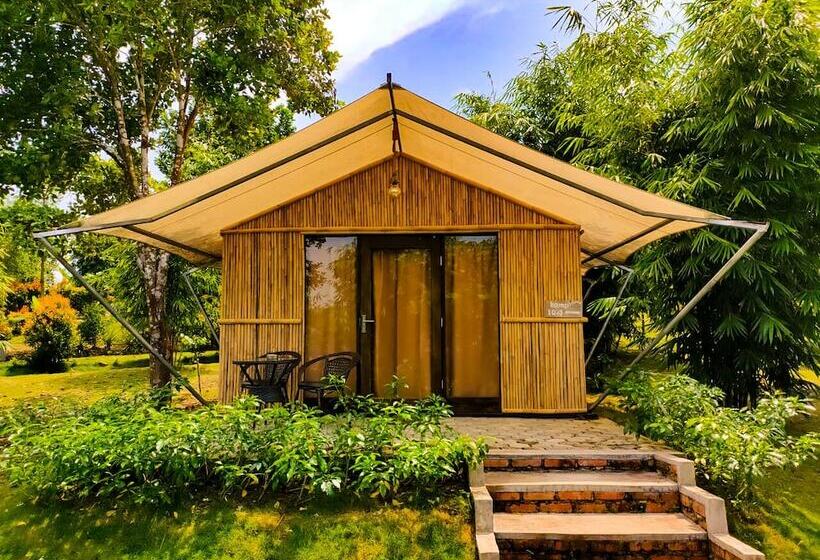 酒店 D Bamboo Kamp