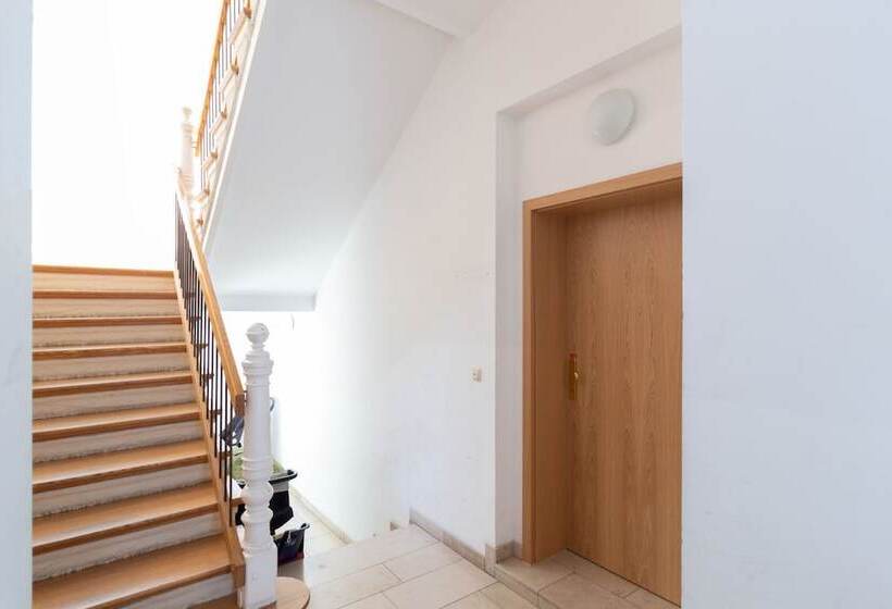 Отель Fischerwiege Apartments Am Domplatz