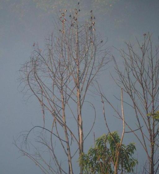 호텔 Hughome Valley Chiangdao