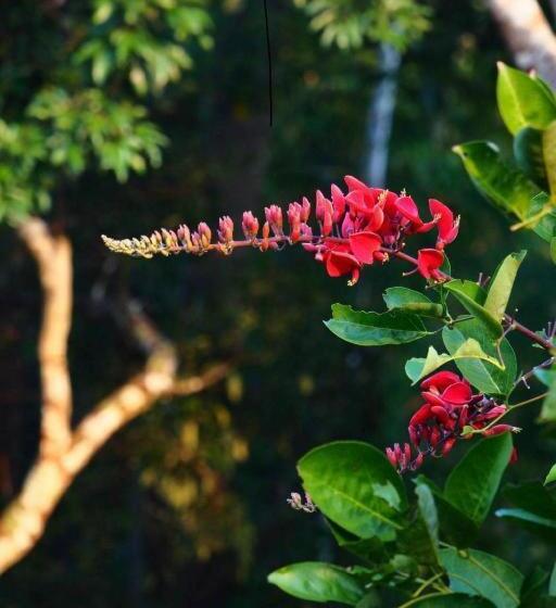 호텔 Hughome Valley Chiangdao