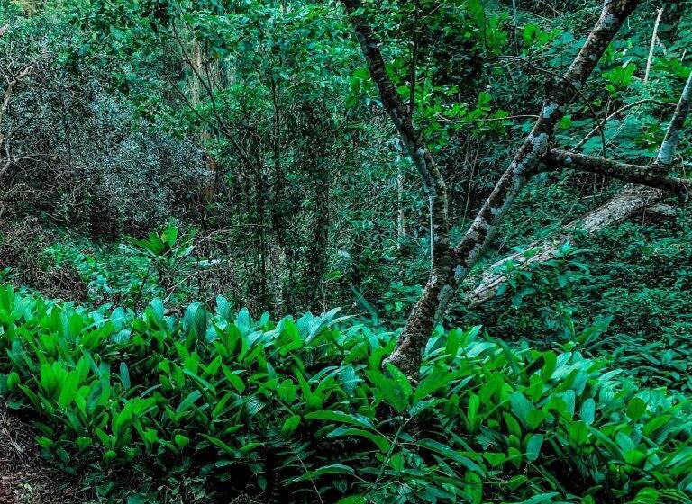 호텔 Hughome Valley Chiangdao