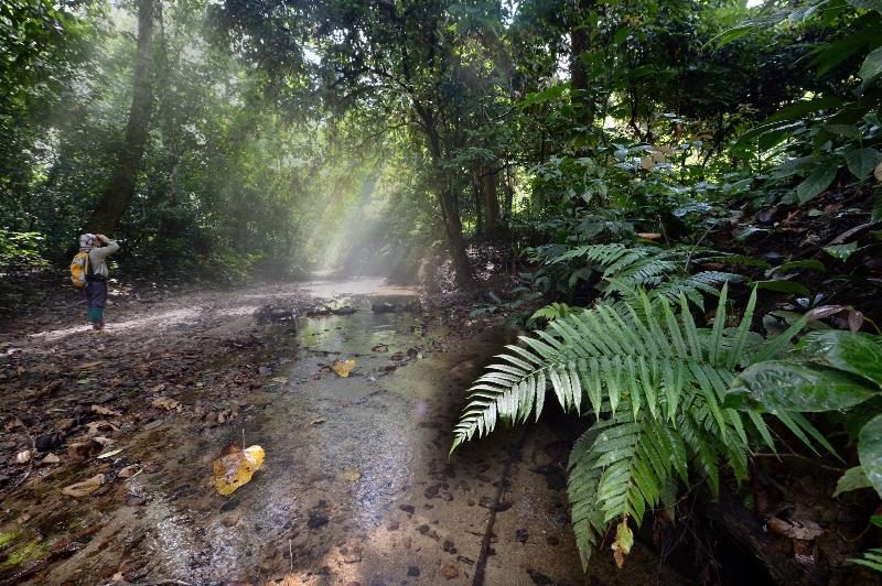 هتل Kawag Nature Lodge