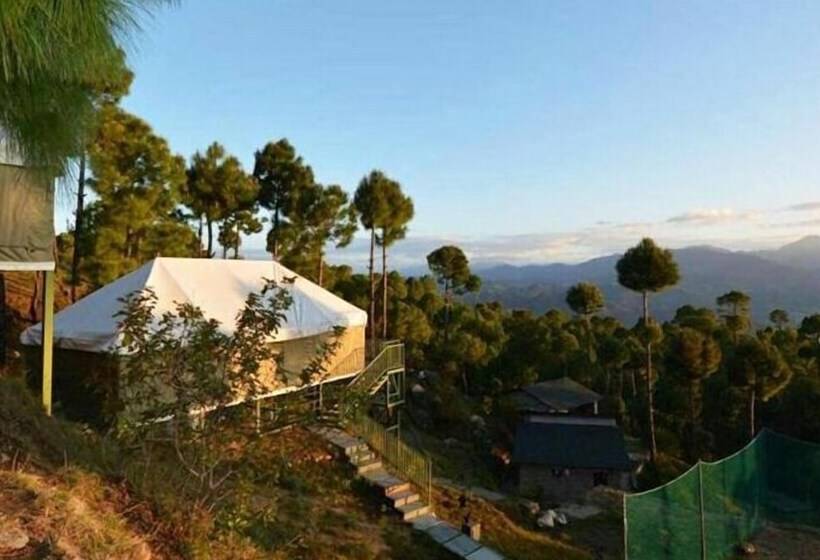 酒店 Queens Meadows By Sunshine & Smiles