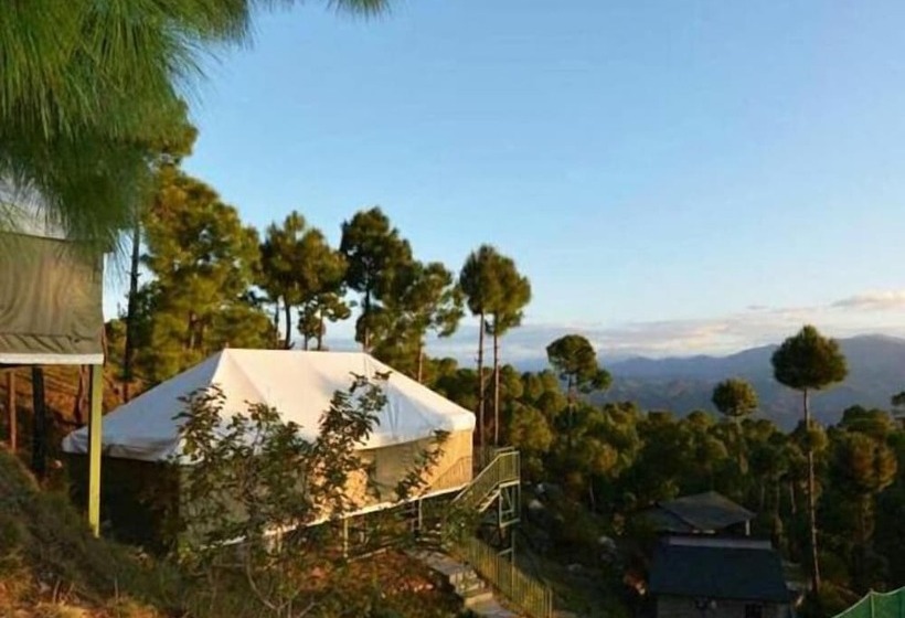 酒店 Queens Meadows By Sunshine & Smiles