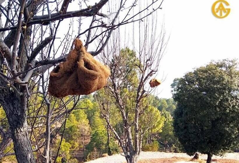 酒店 Queens Meadows By Sunshine & Smiles