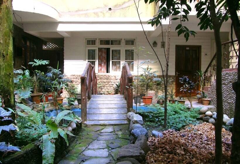 ホテル Retreat Alpine Crest