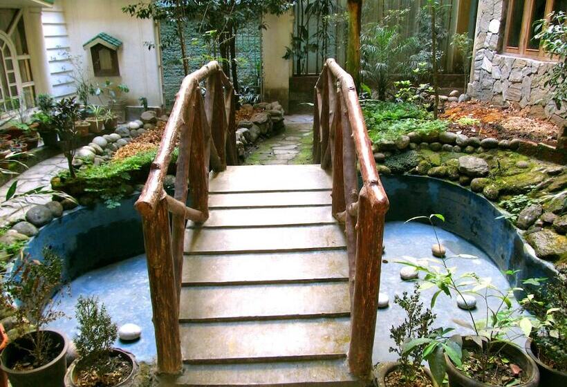 ホテル Retreat Alpine Crest