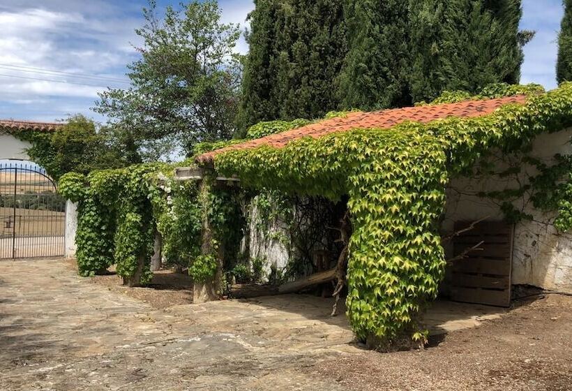 هتل Rural Viña Las Torres