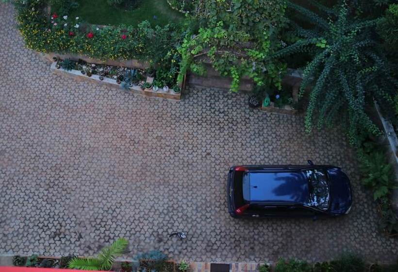 هتل The Shoebill Nest