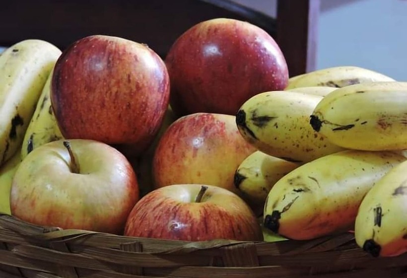 旅馆 Suíte Paraty