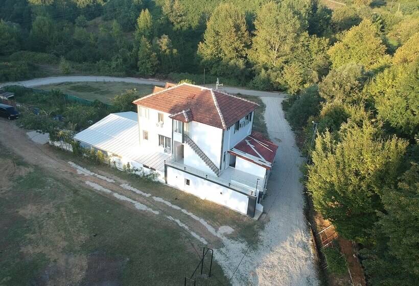 Pasha Boutique Apart