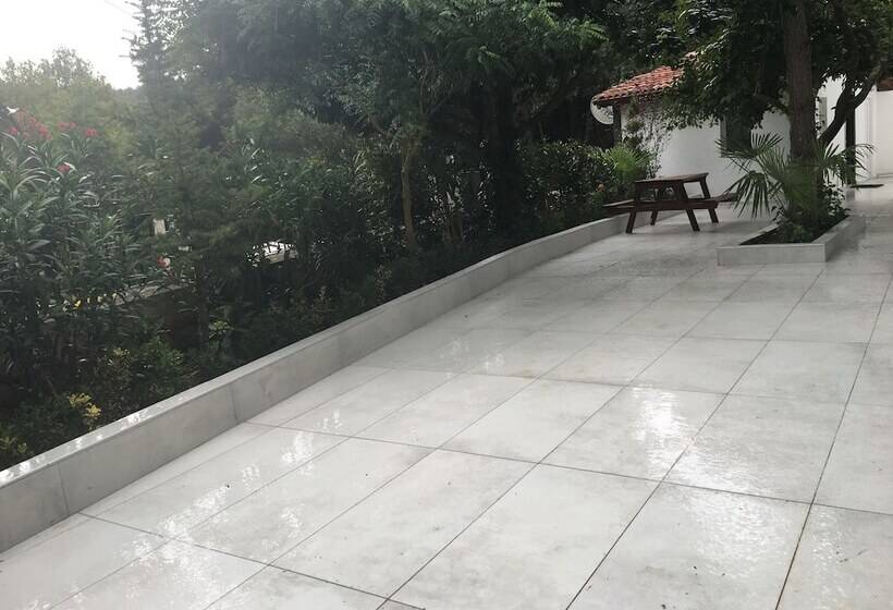 Pasha Boutique Apart