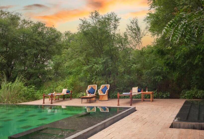 منتجع Trees N Tigers Luxury Wildlife Lodge