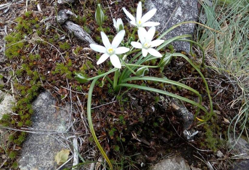 בית מלון כפרי Auberge De Barnas