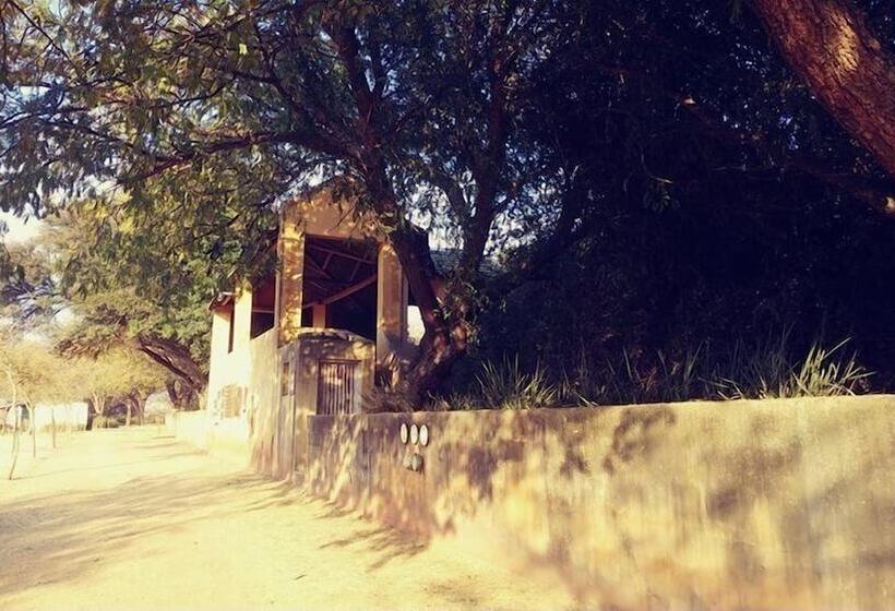 فندق Bosheuvel Country Estate