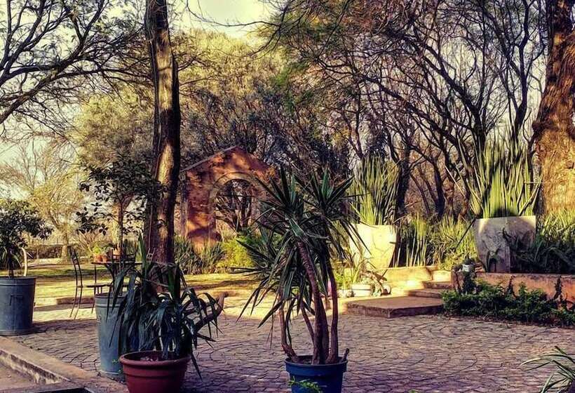 فندق Bosheuvel Country Estate