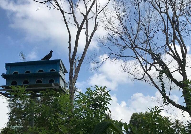 هتل Countryside Phu Quoc Resort