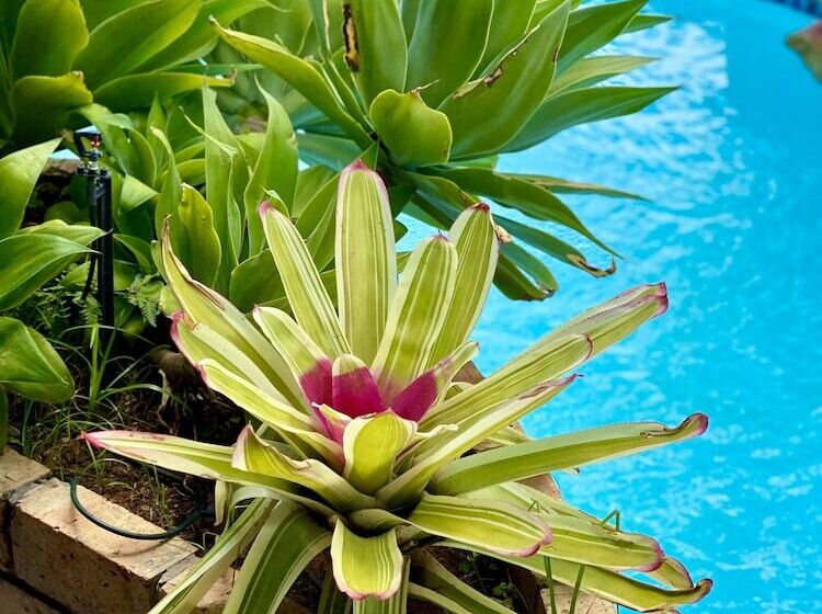 فندق Destri Lodge