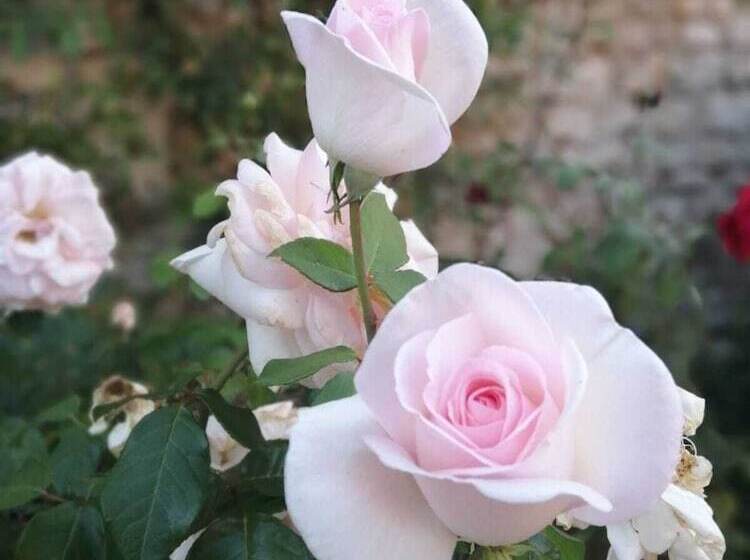 호텔 Domaine St Germer