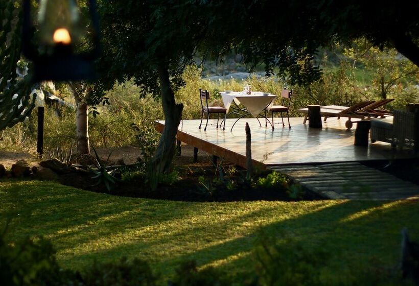 ホテル Ivory Wilderness River Rock Lodge