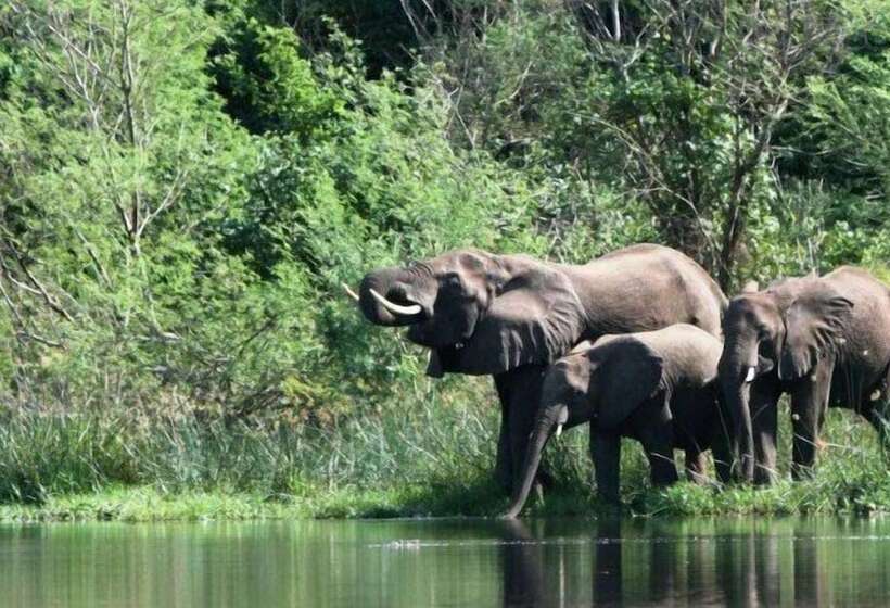 هتل Kabalega Wilderness Lodge