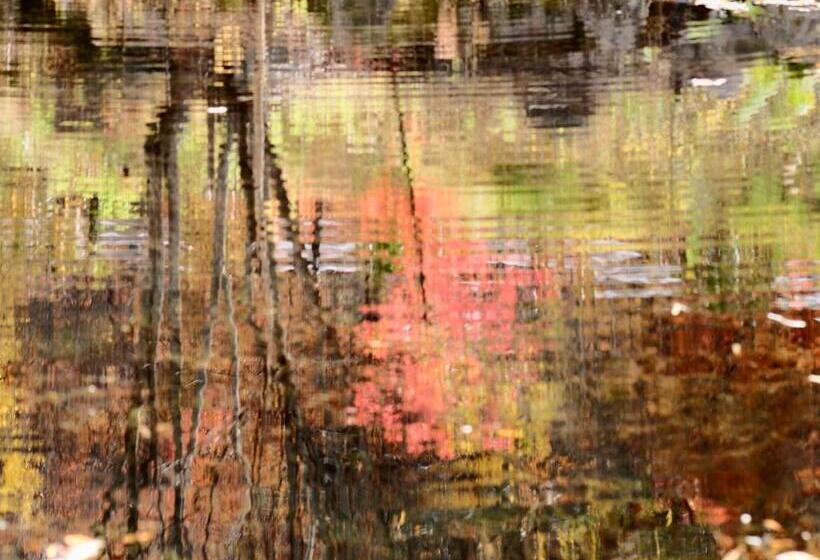 호텔 Onsen Glamping Shimablue