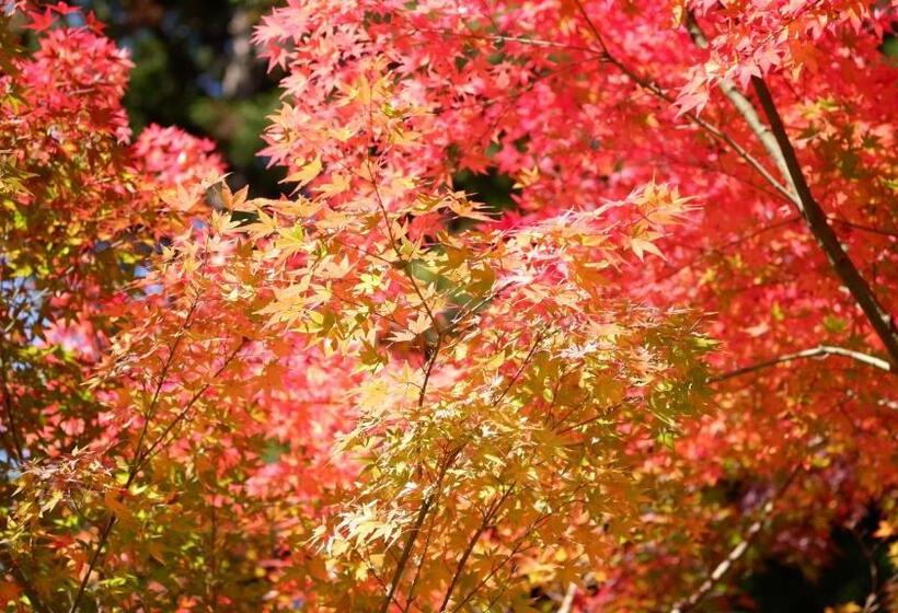 호텔 Onsen Glamping Shimablue