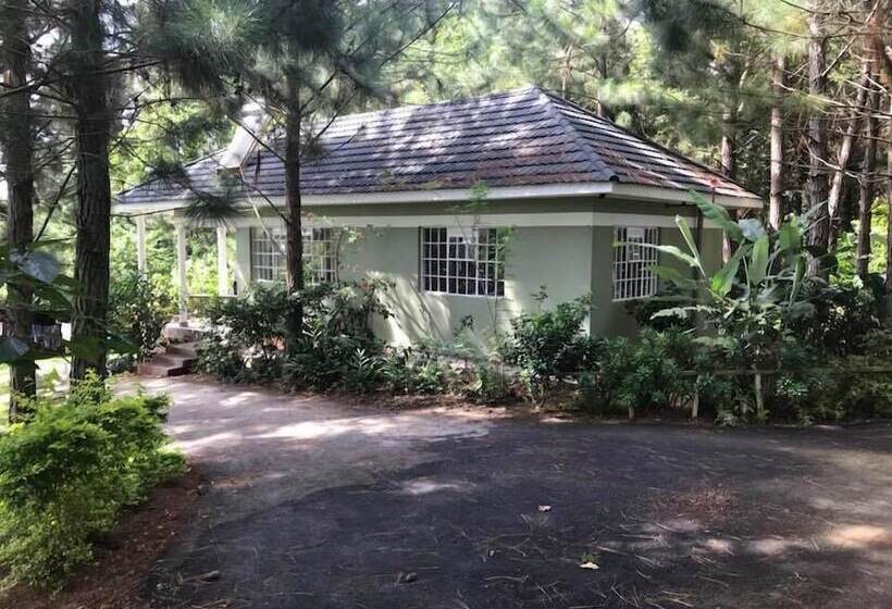 هتل The Pines At Katosi