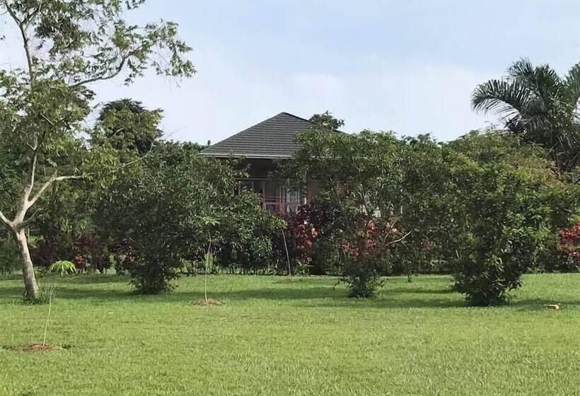 هتل The Pines At Katosi