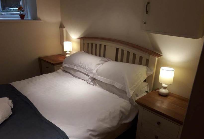 簡易ホテル The Water Rat