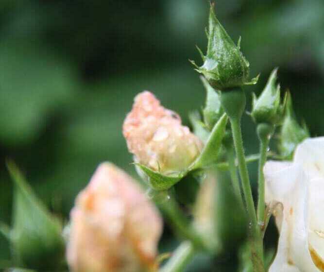 Riverfield Bed And Breakfast