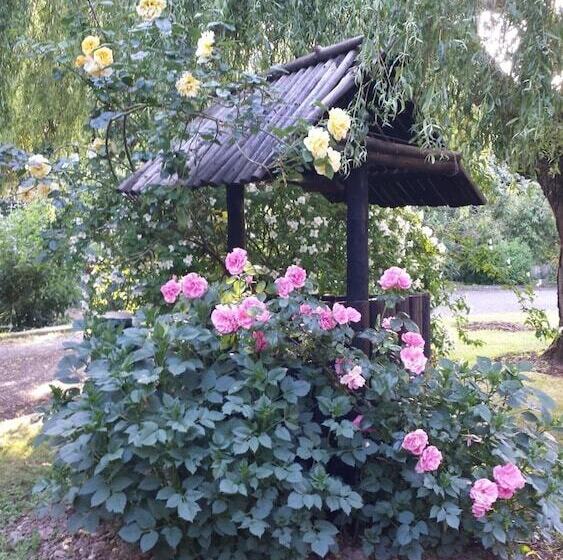 Riverfield Bed And Breakfast