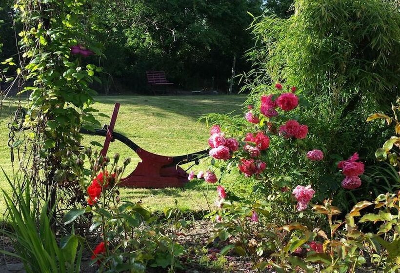 Riverfield Bed And Breakfast