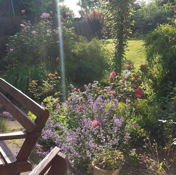 Riverfield Bed And Breakfast